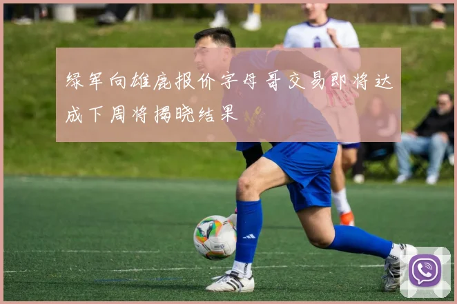 绿军向雄鹿报价字母哥交易即将达成下周将揭晓结果