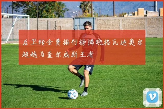 后卫转会费排行榜揭晓格瓦迪奥尔超越马奎尔成新王者